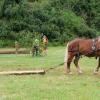 Die Kunst beim Holzrücken besteht darin, Waldarbeit wie eine Sportart aussehen zu lassen.