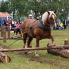 Die Kunst beim Holzrücken besteht darin, Waldarbeit wie eine Sportart aussehen zu lassen.