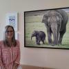 Die Fotos im Büro von Cornelia Zeman zeugen von ihrer Leidenschaft für Reisen. Das Bild mit den Elefanten wird sie für Ihre Nachfolgerin hängen lassen.