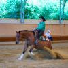 Andrea Gumpp wurde Siegerin der Prüfung Amateur Reining.