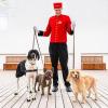 24 Zwinger, Platz zum Spielen und eine eigene Lounge für die Tierhalter: Hunde können an Bord der «Queen Mary 2» mitreisen.
