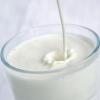 Mit Milch gegen die Zuckerkrankheit? Der Konsum von Milchprodukten soll helfen, das Risiko einer Typ-2-Diabetes-Erkrankung zu senken.