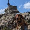 Nala kennt beinahe täglich mehr Berge im Allgäu. Die Hündin ist immer mit Helm unterwegs zum Gipfel.