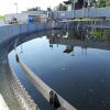 Das neue Nachklärbecken ist inzwischen mit Wasser gefüllt. Wenn sich die Feststoffe als Schlamm komplett gesetzt haben, kann das saubere Oberflächenwasser zurück in die Schmutter geleitet werden.