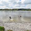 Am Hundestrand Bisseroy können die Vierbeiner ausgiebig planschen.