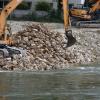 Die Steine, die in der Donau in Donauwörth eine Schwelle bildeten, wurden kürzlich wieder aus dem Fluss geholt. 