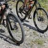 Ein 50 mal 50 Zentimeter großer Stein trifft Mountainbikerin aus Bayern (Archivbild)