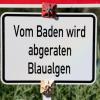 Tritt an einem Badesee ein vermehrtes Aufkommen an Blaualgen auf, kann das Gesundheitsamt vom Baden abraten oder ein Badeverbot verhängen. (Archivbild)