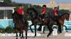 Das deutsche Dressur-Trio ist Gold-Favorit Das deutsche Dressur-Trio ist Gold-Favorit