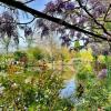 Den Garten im idyllischen Dorf Giverny schuf Claude Monet - dort malte er zahlreiche seiner weltbekannten Seerosen-Gemälde.