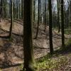 Der Naturpark Westliche Wälder: die Haldenburg in Schwabegg.