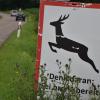 An vier Stellen in der Region um Donauwörth stießen Rehe mit Autos zusammen.