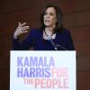 Präsidentschaftskandidatin Kamala Harris wird von Donald Trump immer wieder im Hinblick auf ihren multiethnischen Hintergrund attackiert.