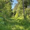 Der Alte Schießplatz im Haunstetter Wald soll saniert werden. Der Kulturkreis Haunstetten sorgt sich um die denkmalgeschützten Gebäude auf dem Gelände.