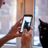 Die Deutschen lieben Katzen: Fast ein Drittel der Bevölkerung besitzt mindestens eine. Viele dieser Katzen haben sogar einen eigenen Social-Media-Account.