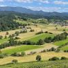 Toller Blick: Von der Hochburg schweift das Auge über die Weinlagen bis zum Schwarzwald.