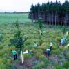 Aktivisten der Umweltschutz-Organisation Greenpeace pflanzen zum Protest gegen Gasbohrungen Bäume auf dem geplanten Bohrfeld.