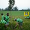 Aktivisten von Greenpeace Bayern haben vor Kurzem auf dem für die Gasbohrung vorgesehenen Grundstück bei Reichling Bäume gepflanzt.