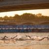 Die Langstreckenschwimmerinnen mussten sich in der Seine immer wieder gegen die starke Strömung behaupten.   