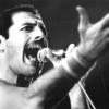 Freddie Mercury, einst Leadsänger der britischen Rockgruppe Queen. Die Band soll ihre Musikrechte im Juni für einen Rekorderlös verkauft haben.