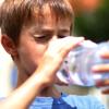 Bei hohen Temperaturen lautet die Devise: trinken, trinken, trinken.