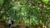 Wandern zum Wasserfall: unterwegs im Naturschutzgebiet Saltos de Jima. Wandern zum Wasserfall: unterwegs im Naturschutzgebiet Saltos de Jima.