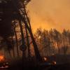 Starker Wind treibt die Flammen unbarmherzig voran