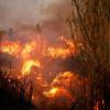 Der größte Waldbrand des Jahres ist gefährlich nah an die Hauptstadt Athen herangerückt.