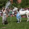 Beim Elfenfestival auf Schloss Blumenthal darf auch das magische Einhorn nicht fehlen. Es ist besonders bei Kindern beliebt.