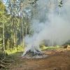 Den „kleinen Waldbrand“ bei Buch konnte die Feuerwehr schnell löschen.