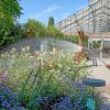 Die Hitze der vergangenen Tage maicht sich auch im Botanischen Garten in Augsburg bemerkbar: Siggi Blessing muss derzeit sehr viel gießen.  