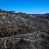 Blick über das verbrannte Waldgebiet in der Nähe der griechischen Hauptstadt Athen. Es war der bislang größte Waldbrand des Jahres.