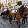 Seit vielen Jahren gehören Pferdekutschen zum Augsburger Plärrerumzug. Tierrechtsaktivisten wollen sie nun verbieten - was zu Unmut beim Organisator und einem Kutscher führt.