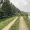 Ein umgestürzter Baum versperrt den Donauradweg vor dem Leipheimer Wasserwerk.