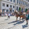 Bei Temperaturen von knapp 30 Grad führte der Plärrerumzug 2024 durch die Augsburger Innenstadt. Am Rathaus protestierten Tierschutzaktivistinnen und -aktivisten gegen den Einsatz von Pferden.