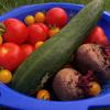 Die Arbeit, die man in den Garten gesteckt hat, macht sich bezahlt und man kann Tomaten, Gurken und Rote Bete ernten.