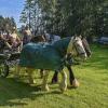 Am Kinsauer Wanderritt nahmen über 150 Reiterinnen und Reiter teil, hier Florian Freytag und Tochter Aileen Clausen aus Ingenried.