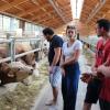 Landwirt Lukas Gabriel (rechts) erläutert die Abläufe im Rinderstall. 