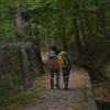 Der Donauwald-Wanderweg zwischen Schwenningen und Günzburg hat sich zu einem Touristenmagneten entwickelt. 