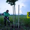 Aktivisten der Umweltschutz-Organisation Greenpeace pflanzen zum Protest gegen Gasbohrungen Bäume auf dem geplanten Bohrfeld. (Archivbild)