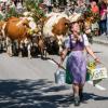 In Filzmoos findet zum Almabtrieb am 16. September ein Fest mit Bauernmarkt und Musik statt.