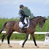 Jugend, Eleganz und Qualität: Emily Rother (RFV Günzburg) auf Jasper, hier beim Turnier in Jettingen.