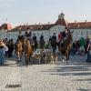 In Erinnerung an die ehemals kurfürstlichen Parforcejagden vor Schloss Nymphenburg in München zeigte der Schleppjagdverein von Bayern ein Jagd- und Meute-Schaubild. 