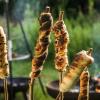 Ran ans Stockbrot-Büfett: An den Haselnussknüppeln warten süße und herzhafte Brote auf den ersten Biss.