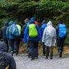 Mit Regenjacken sind Wanderer im Bayerischen Wald unterwegs.