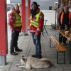 Manche Hunde  trauen sich auch bei echtem Hundewetter zum Badetag ins Augsburger Familienbad – samt Frauchen und Herrchen. Nach Ende der Freibadsaison dürfen dort traditionell die vierpfotig-felligen Wasserliebhaber nochmals plantschen, bevor das Freibad für den Winter schließt, zur Freude von Hund und Mensch. Wir haben ein paar tropfnasse Bilder.