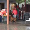 Manche Hunde  trauen sich auch bei echtem Hundewetter zum Badetag ins Augsburger Familienbad – samt Frauchen und Herrchen. Nach Ende der Freibadsaison dürfen dort traditionell die vierpfotig-felligen Wasserliebhaber nochmals plantschen, bevor das Freibad für den Winter schließt, zur Freude von Hund und Mensch. Wir haben ein paar tropfnasse Bilder.