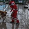 Manche Hunde  trauen sich auch bei echtem Hundewetter zum Badetag ins Augsburger Familienbad – samt Frauchen und Herrchen. Nach Ende der Freibadsaison dürfen dort traditionell die vierpfotig-felligen Wasserliebhaber nochmals plantschen, bevor das Freibad für den Winter schließt, zur Freude von Hund und Mensch. Wir haben ein paar tropfnasse Bilder.