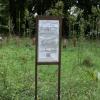 
Das Corona-Denkmal befindet sich im Wittelsbacher Park. Über 800 Menschen sind in Augsburg an Covid-19 verstorben. 