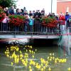 Alle meine Entchen schwimmen auf dem Bach: Durch den schnell fließenden Mühlbach schoss die Entenschar beim Vöhringer Entenrennen unter der Ziellinie her. Um sie aus dem Gewässer heraus zu fischen, waren Geschicklichkeit und Eile angesagt.